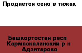 Продается сено в тюках!!! - Башкортостан респ., Кармаскалинский р-н, Адзитарово с. Животные и растения » Аксесcуары и товары для животных   